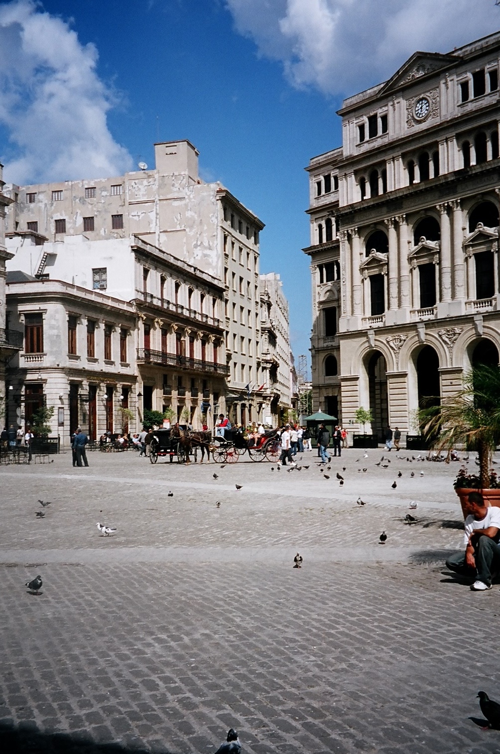01600010_1.jpg